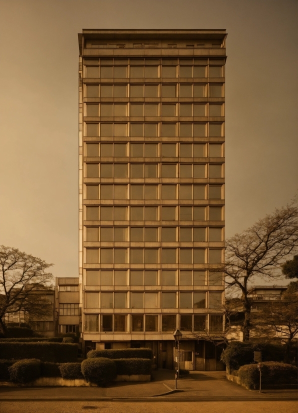 Building, Sky, Skyscraper, Tree, Urban Design, Tower Block