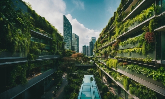 Sky, Cloud, Building, Daytime, Skyscraper, Plant