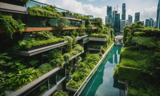 Building, Water, Sky, Plant, Cloud, Skyscraper