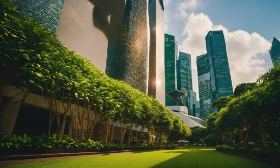 Cloud, Plant, Sky, Building, Daytime, Skyscraper