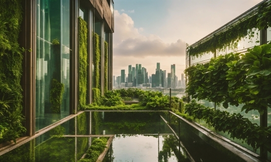 Water, Sky, Cloud, Building, Green, Tower Block