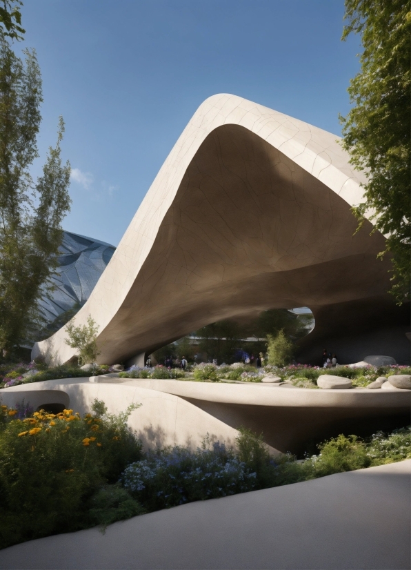 Sky, Plant, Building, Tree, Shade, Architecture