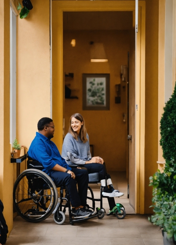 Wheel, Wheelchair, Tire, Green, Plant, Comfort