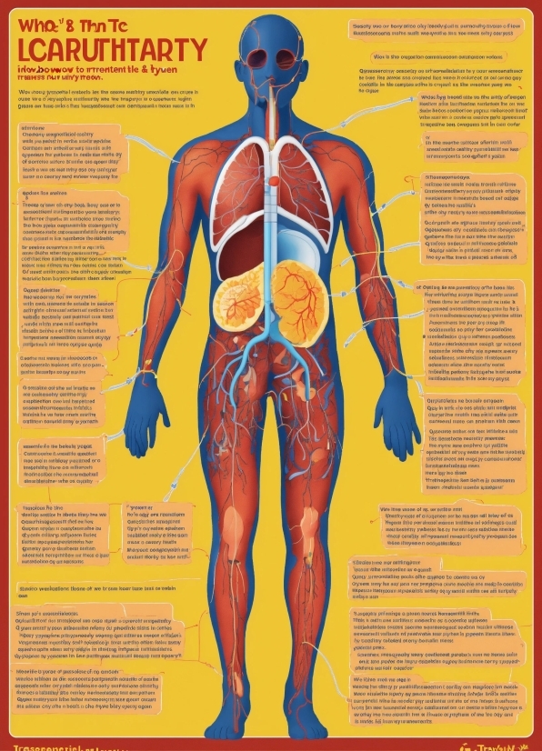 Joint, Shoulder, Muscle, Organ, Human Body, Jaw