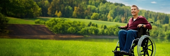 Plant, Green, Nature, Natural Landscape, Tree, Grass