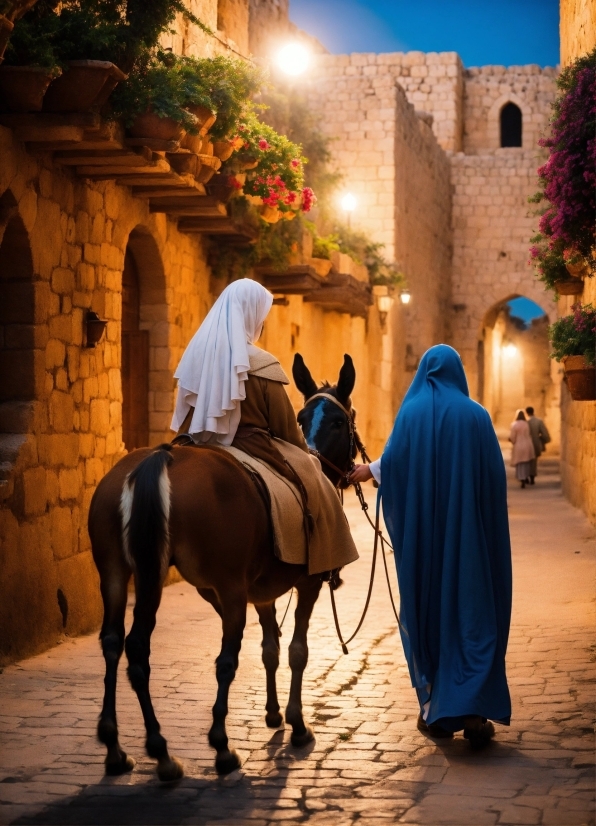 Horse, Outerwear, Temple, Working Animal, Plant, Sky