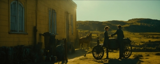 Wheel, Horse, Building, Sky, Working Animal, Mode Of Transport