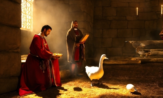 Bird, Beak, Waterfowl, Ducks, Geese And Swans, Window