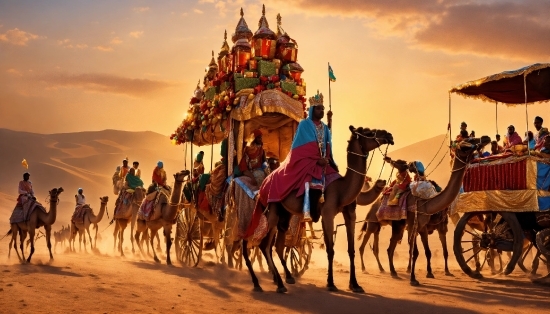 Cloud, Sky, Wheel, Ecoregion, Vehicle, Camel