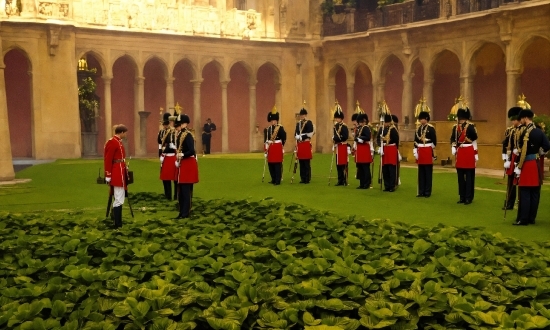 Plant, Building, Red, Groundcover, Event, People In Nature