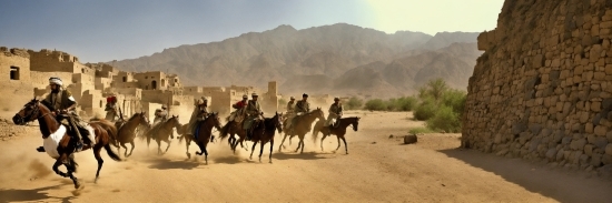 Sky, Horse, Working Animal, Travel, Plant, Vehicle