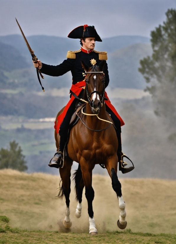 Horse, Sky, Horse Tack, Halter, Working Animal, Mammal