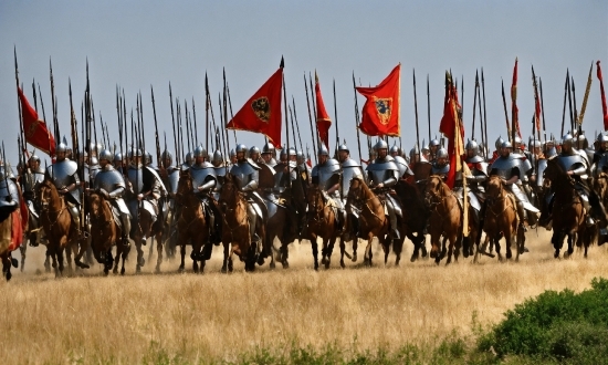 Horse, Sky, Vertebrate, Flag, Military Person, Mammal