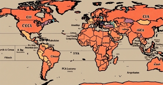 World, Ecoregion, Map, Vertebrate, Organ, Organism