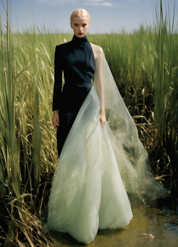 Sky, Water, Plant, Dress, Wedding Dress, People In Nature