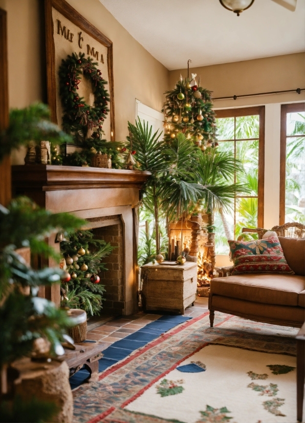 Plant, Green, Window, Wood, Building, Interior Design