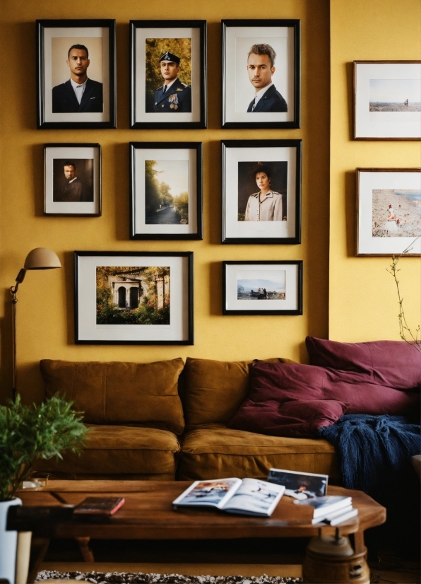 Brown, Picture Frame, Property, Couch, Plant, Interior Design