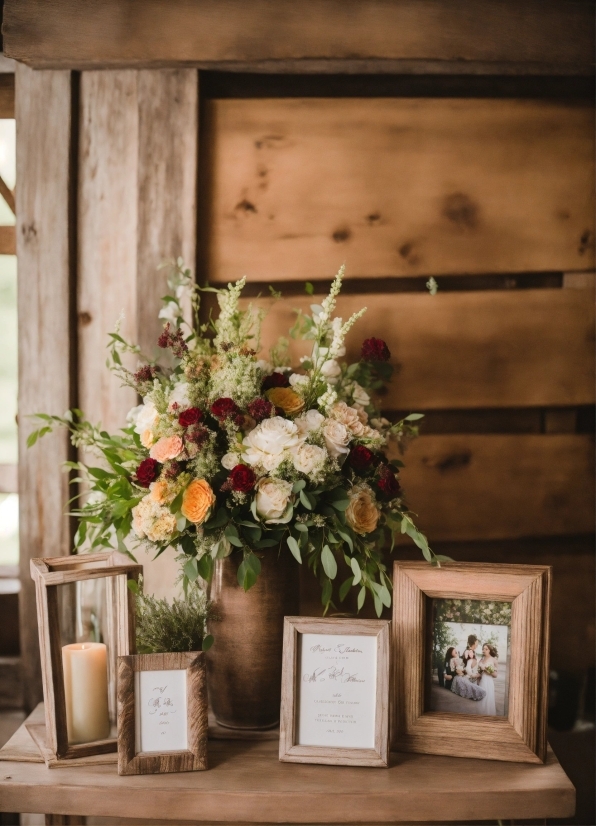 Flower, Plant, Vase, Flowerpot, Picture Frame, Window