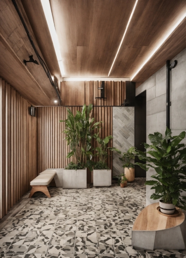 Plant, Property, Building, Interior Design, Architecture, Wood