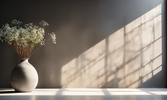 Plant, Flowerpot, Flower, Wood, Vase, Table