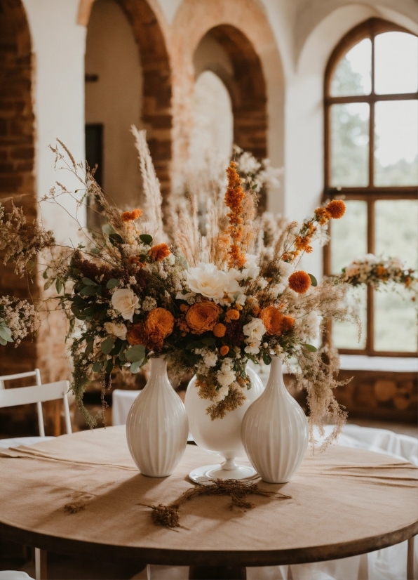 Flower, Table, Plant, Photograph, Furniture, White