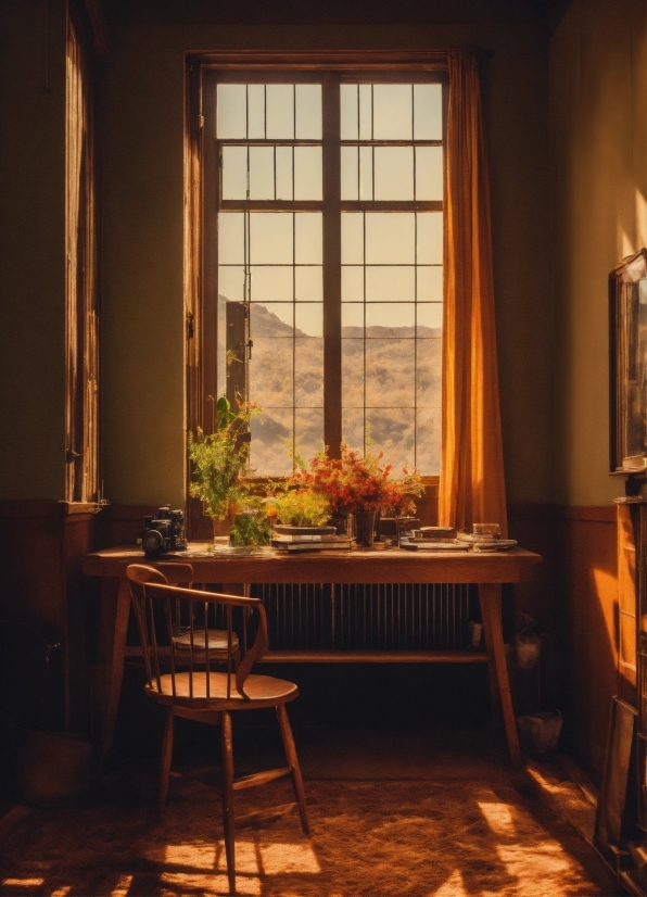 Furniture, Plant, Window, Table, Chair, Wood