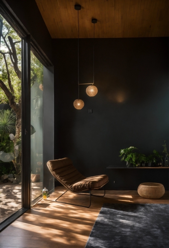 Plant, Building, Wood, Shade, Interior Design, Sunlight