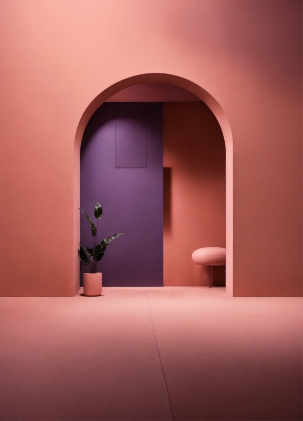 Plant, Flowerpot, Houseplant, Wood, Door, Tints And Shades