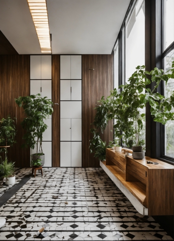 Plant, Property, Building, Wood, Window, Fixture