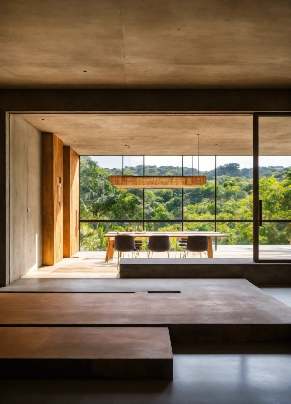 Plant, Shade, Wood, Interior Design, Floor, Tree