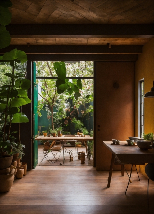 Plant, Table, Wood, Building, Fixture, Shade