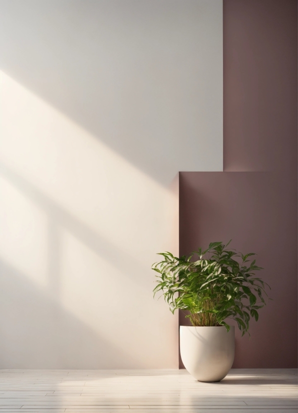 Plant, Flowerpot, Houseplant, Wood, Vase, Rectangle