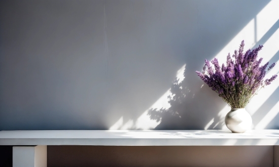 Flower, Plant, Window, Wood, Petal, Vase