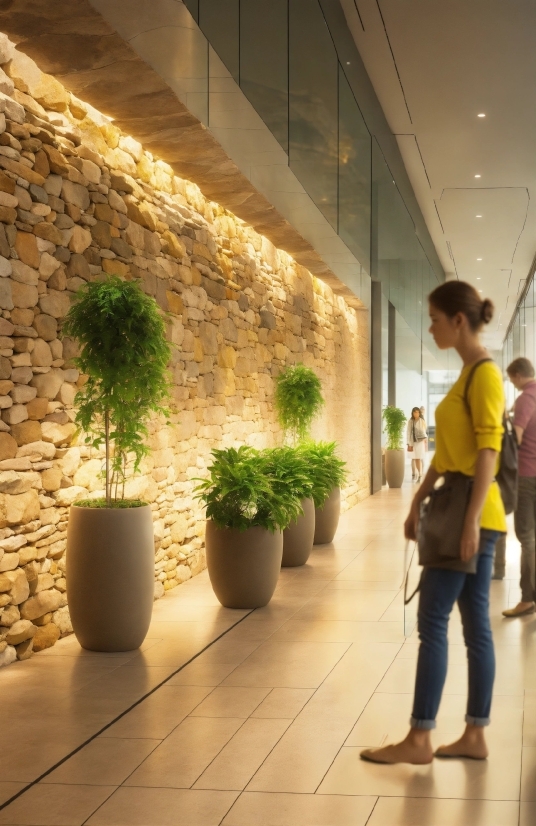 Plant, Flowerpot, Yellow, Flooring, Floor, Line