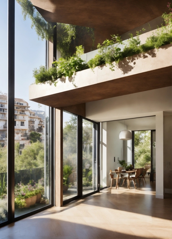 Plant, Property, Building, Window, Shade, Wood