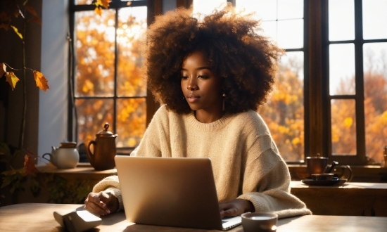 Computer, Laptop, Jheri Curl, Personal Computer, Window, Human