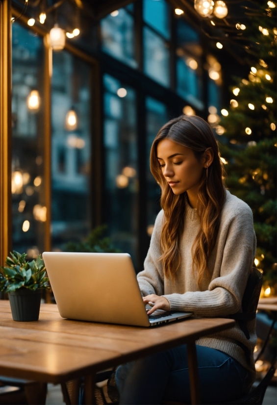 Photograph, Laptop, Personal Computer, Plant, Computer, Fashion