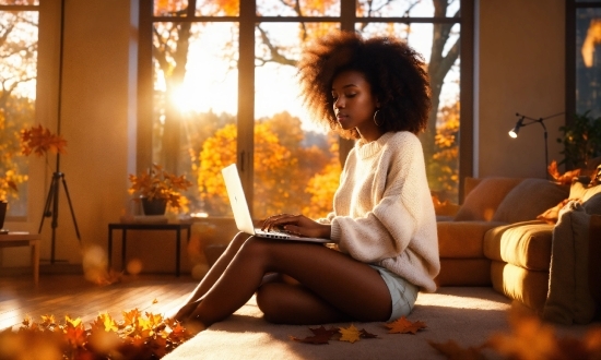 Plant, Leg, Window, Comfort, Flash Photography, Orange