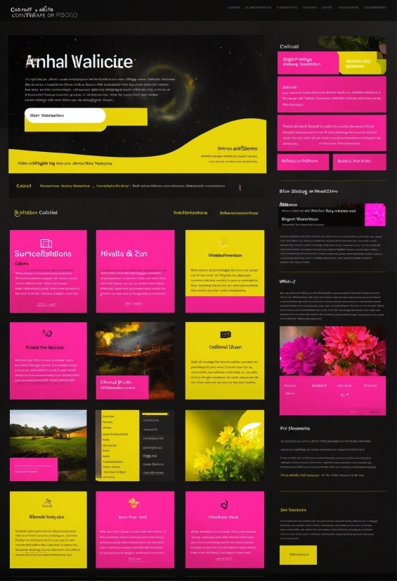 Colorfulness, Product, Font, Magenta, Material Property, Screenshot