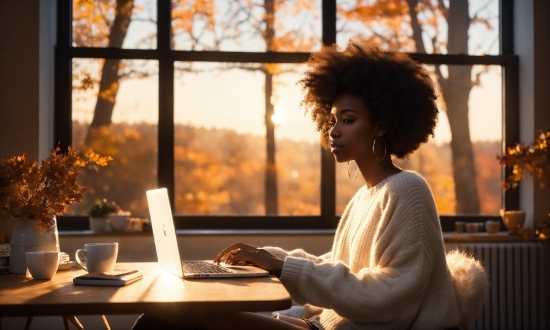 Table, Computer, Light, Window, Tableware, Personal Computer