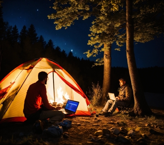 Tent, Sky, People In Nature, Tree, Camping, Sunlight