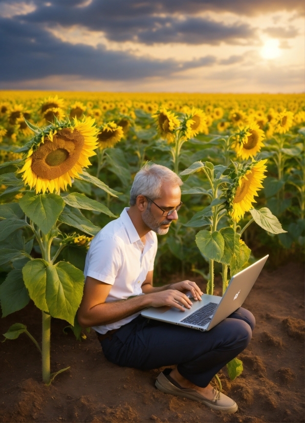 Flower, Plant, Cloud, Sky, Photograph, Laptop