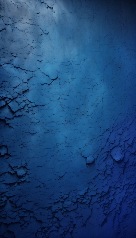 Water, Liquid, Sky, Blue, Plant, Branch