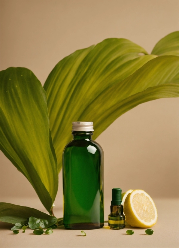 Liquid, Bottle, Green, Rangpur, Leaf, Fluid