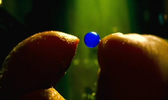 Gesture, Terrestrial Plant, Electric Blue, Plant, Petal, Macro Photography