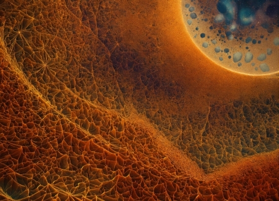 Brown, Amber, Orange, Atmospheric Phenomenon, Art, Liquid