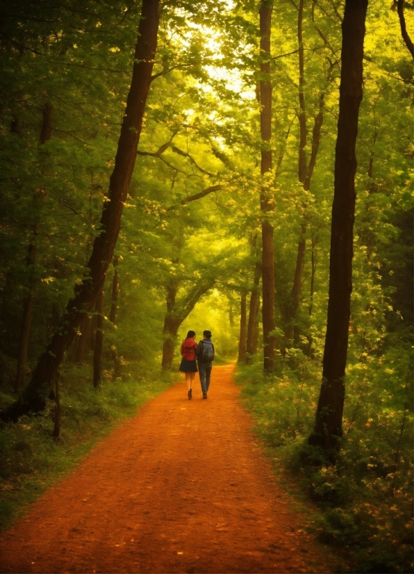 Plant, People In Nature, Tree, Natural Landscape, Wood, Gesture