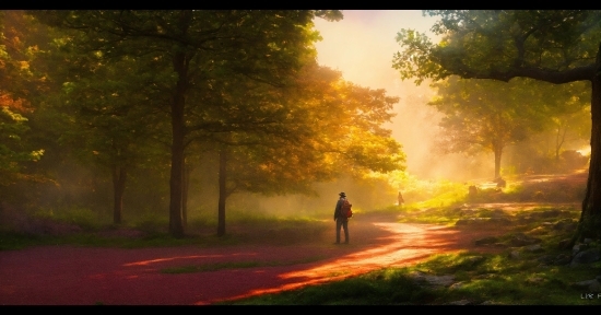 Atmosphere, Plant, Sky, People In Nature, Natural Landscape, Wood