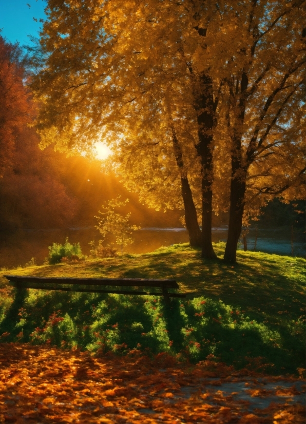 Plant, Atmosphere, Sky, Natural Landscape, People In Nature, Branch