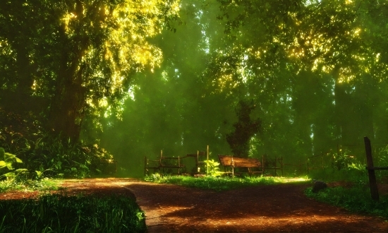 Plant, Natural Landscape, Natural Environment, Branch, Wood, People In Nature